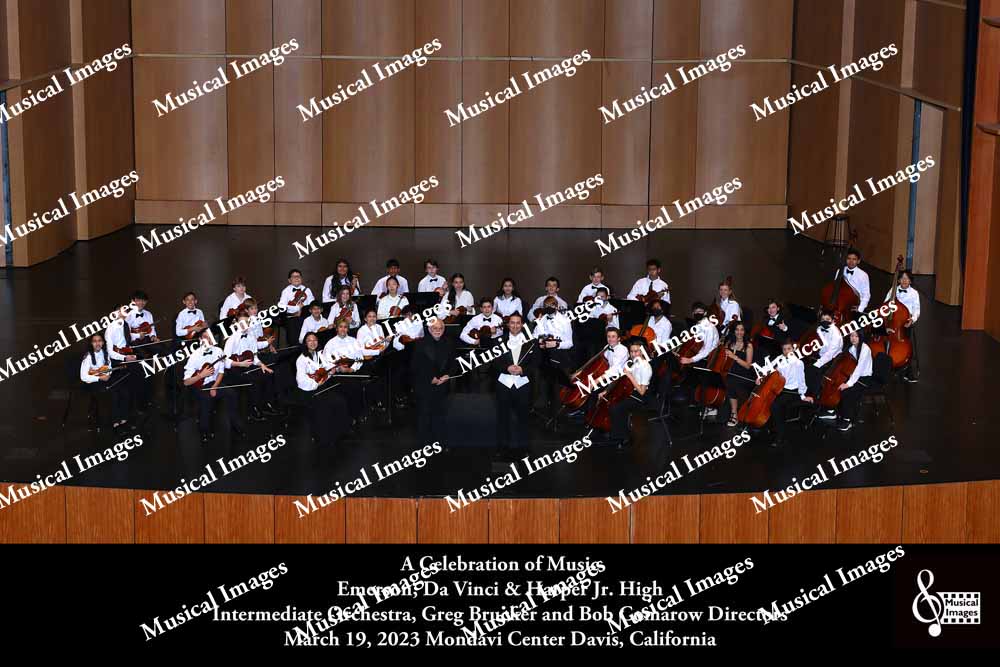 Musical Images